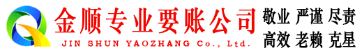 麻栗坡追账公司